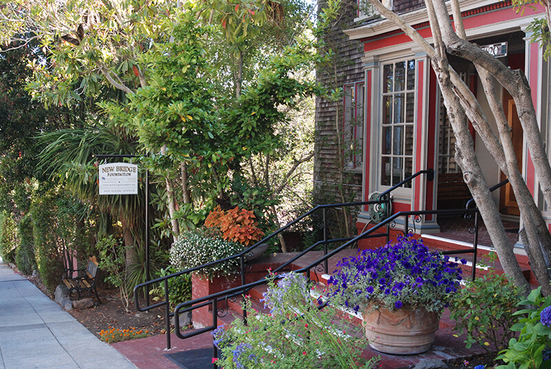 New Bridge Foundation - Foto 6