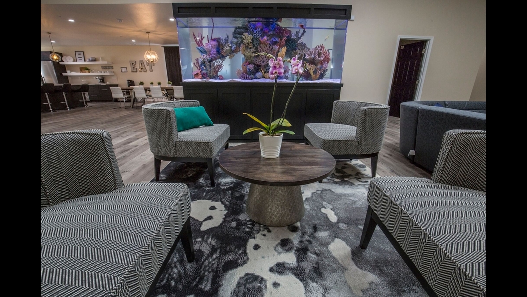 Diamond House Detox - Foto 6