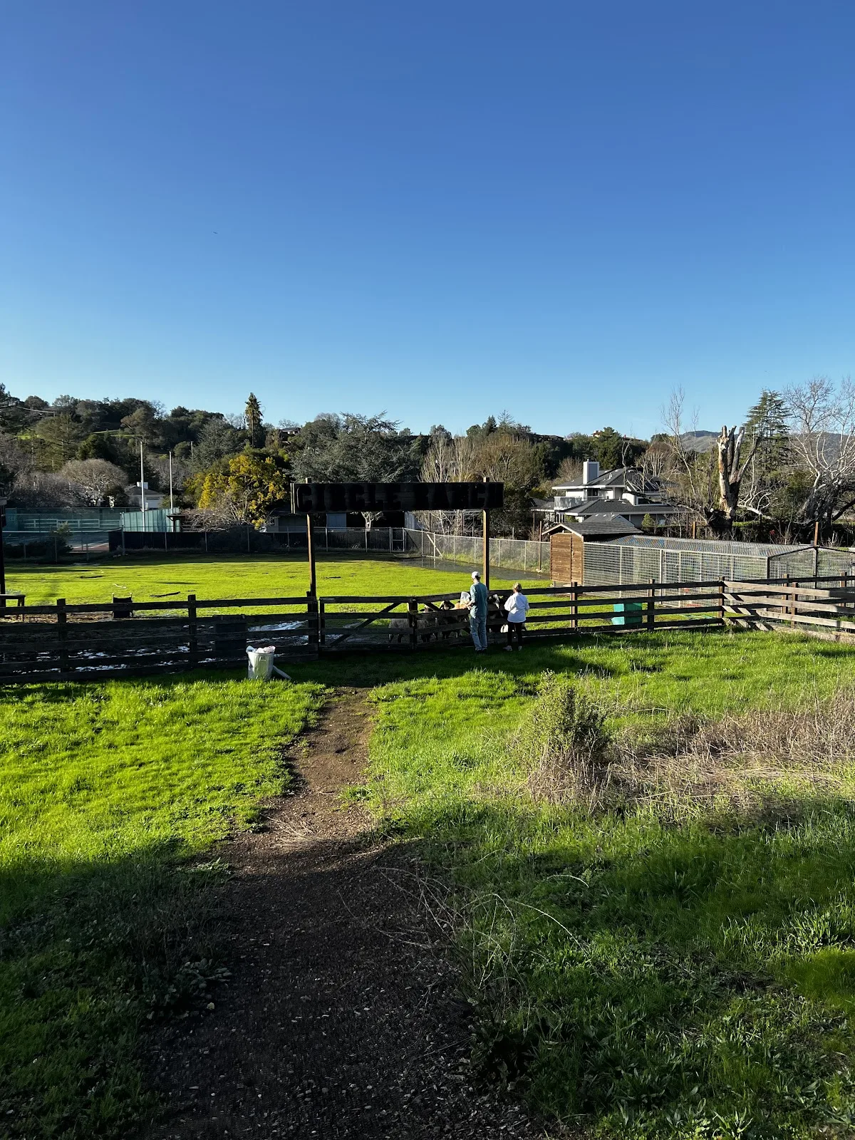 Heartwood House Detox San Rafael – Suboxone, Oxycodone, Opiate Detox San Francisco - Photo 3