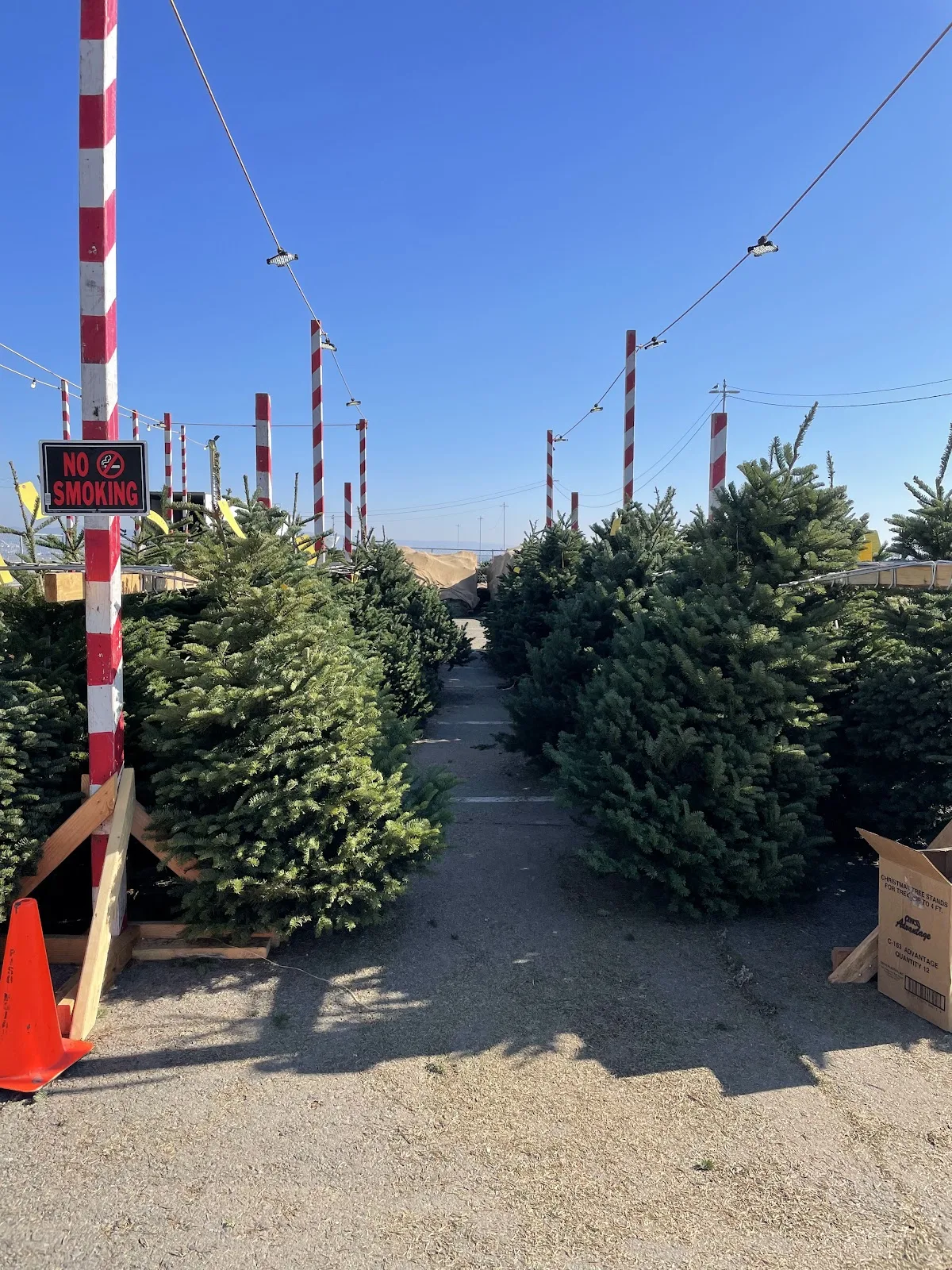 Delancey Street Foundation - Ảnh 3