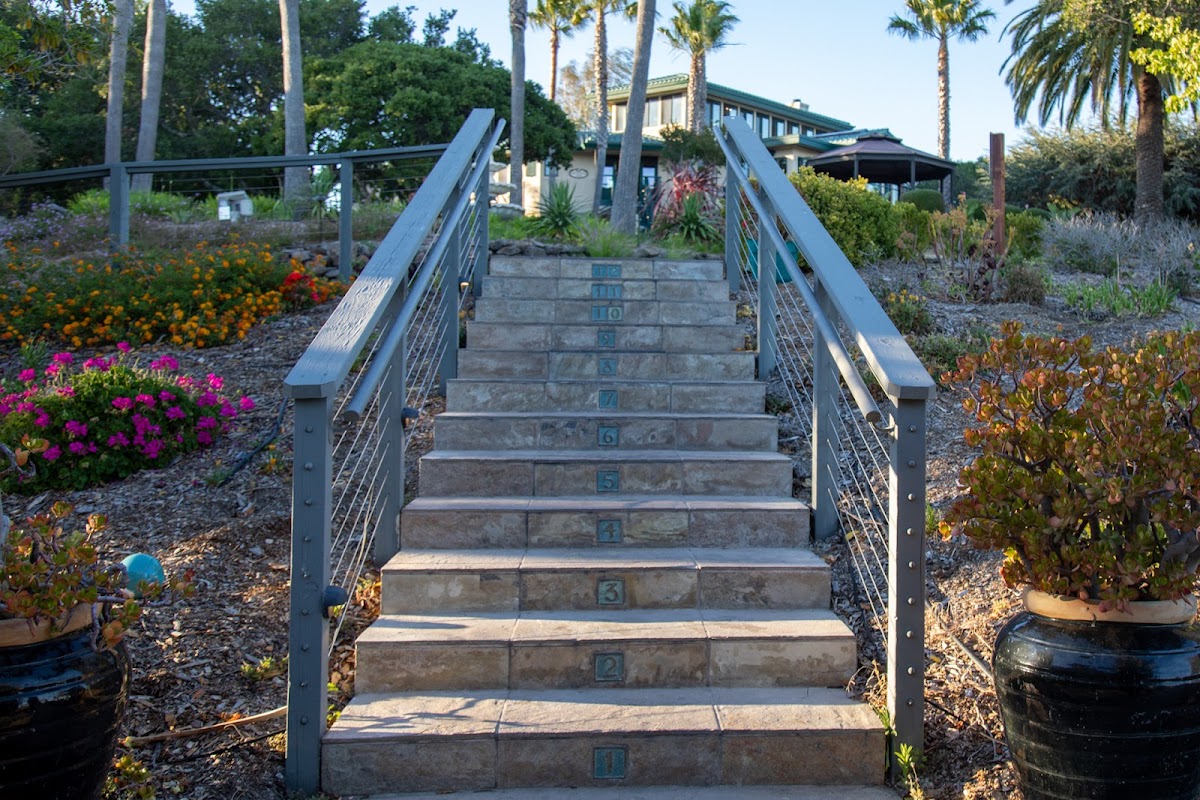 Bayside Marin - Photo 4