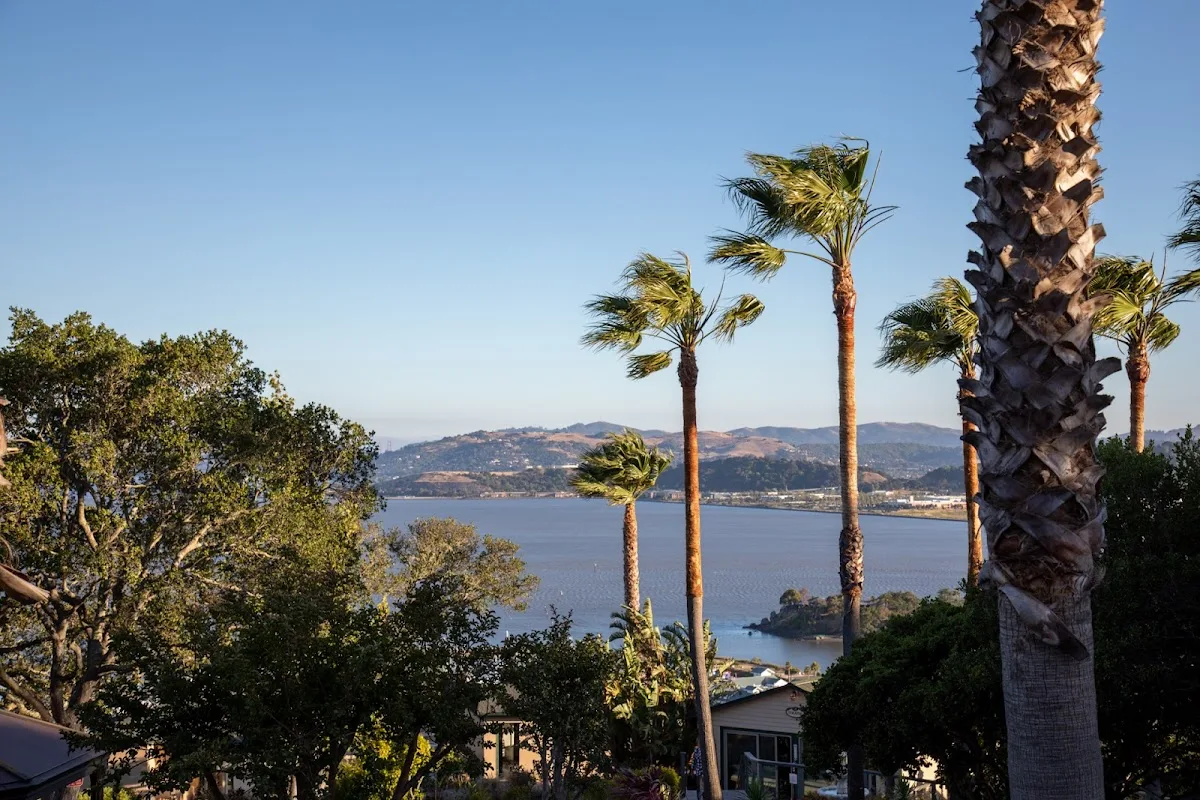 Bayside Marin - Foto 5